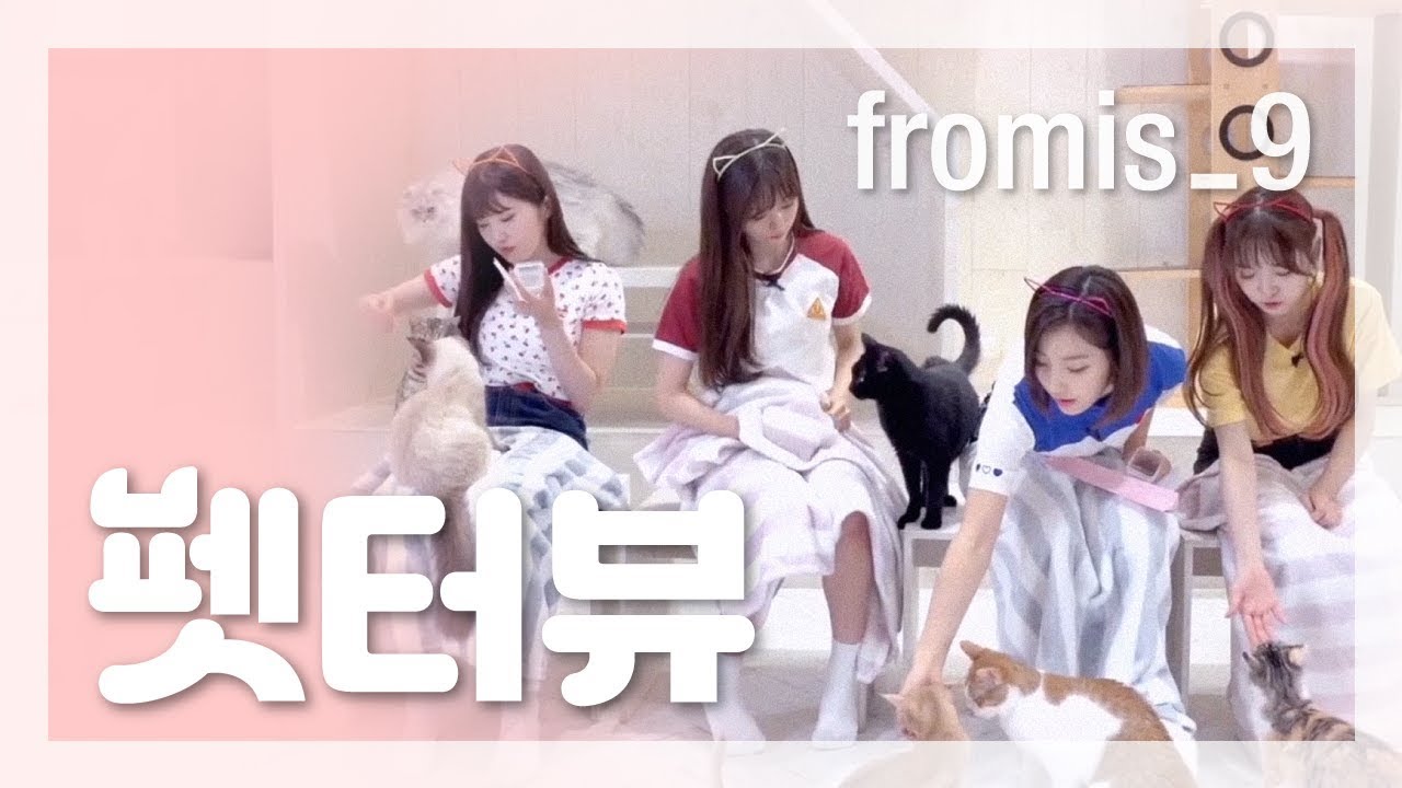 [펫터뷰 (Pet-terview)] 프로미스나인편 (fromis_9 ver.)